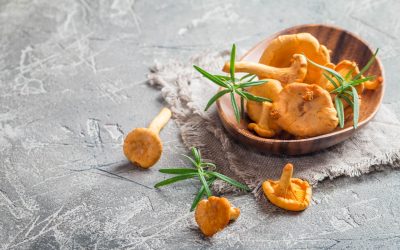 Die neue Empfehlungskarte am dem 14. August